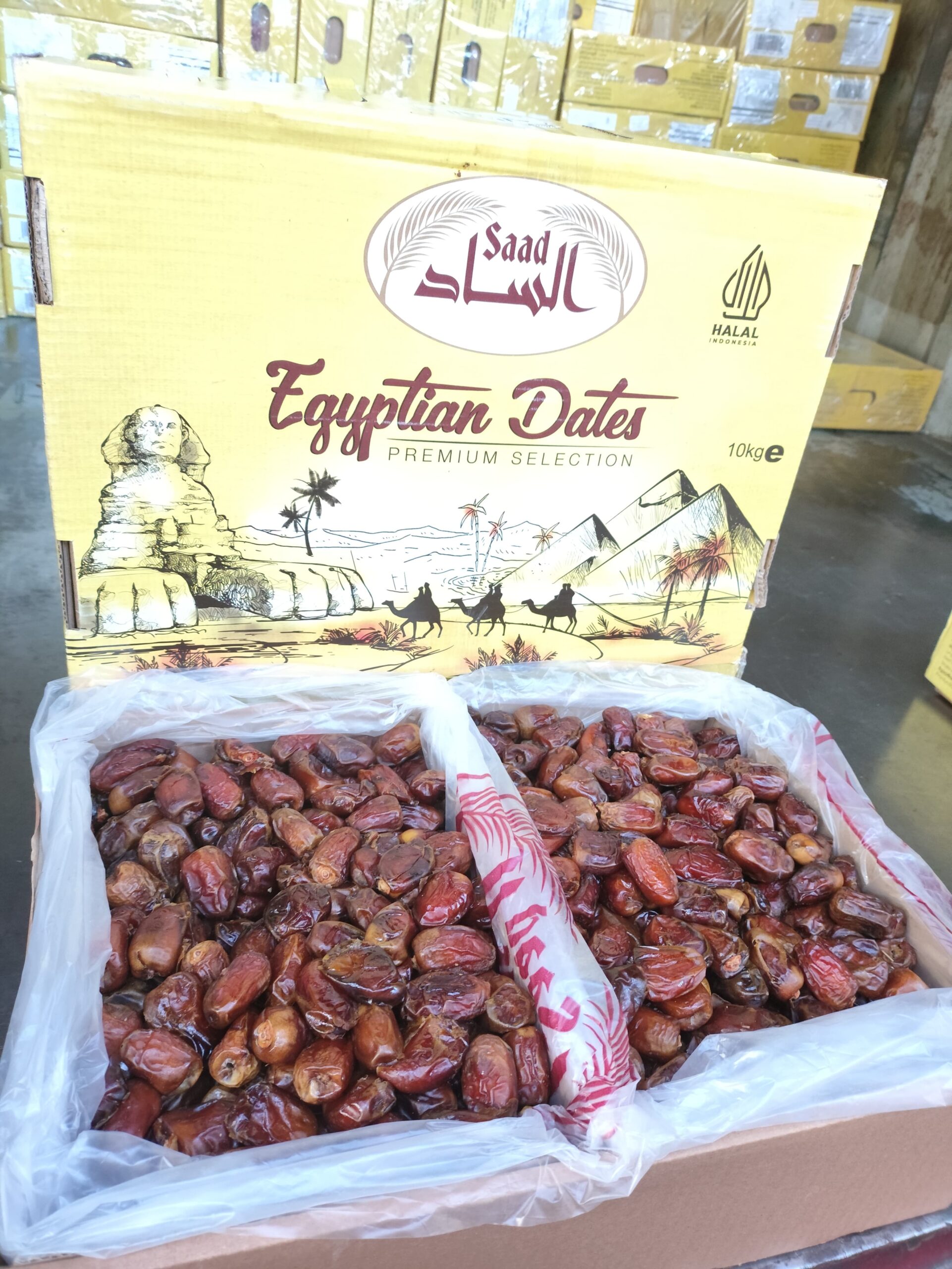 Kurma Mesir