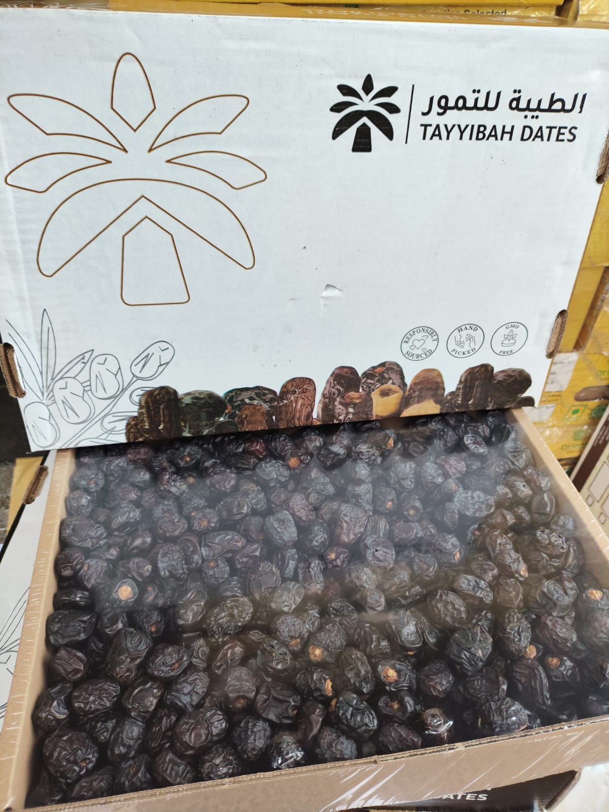 Kurma Ajwa